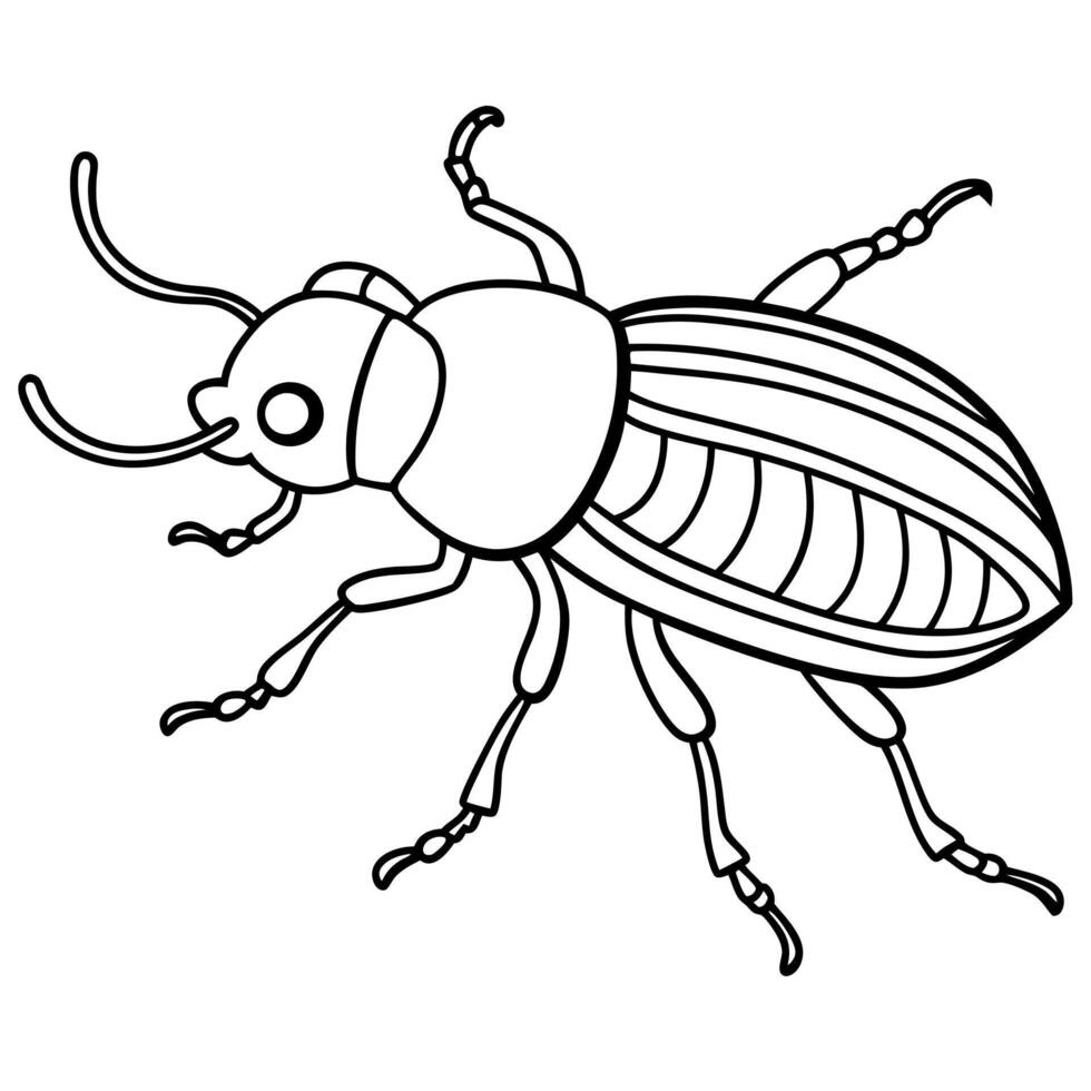 Flour Beetle bug walks icon vector