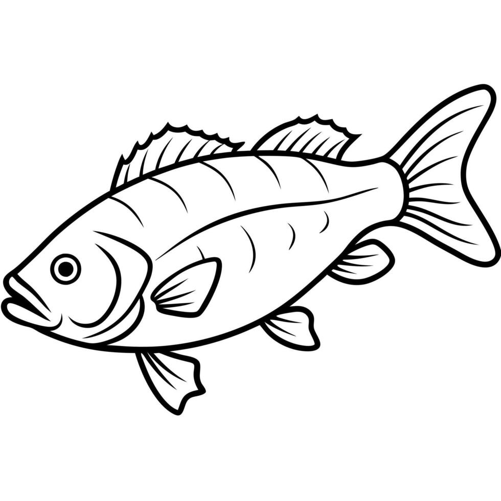 Freshwater Drum fish runs icon vector
