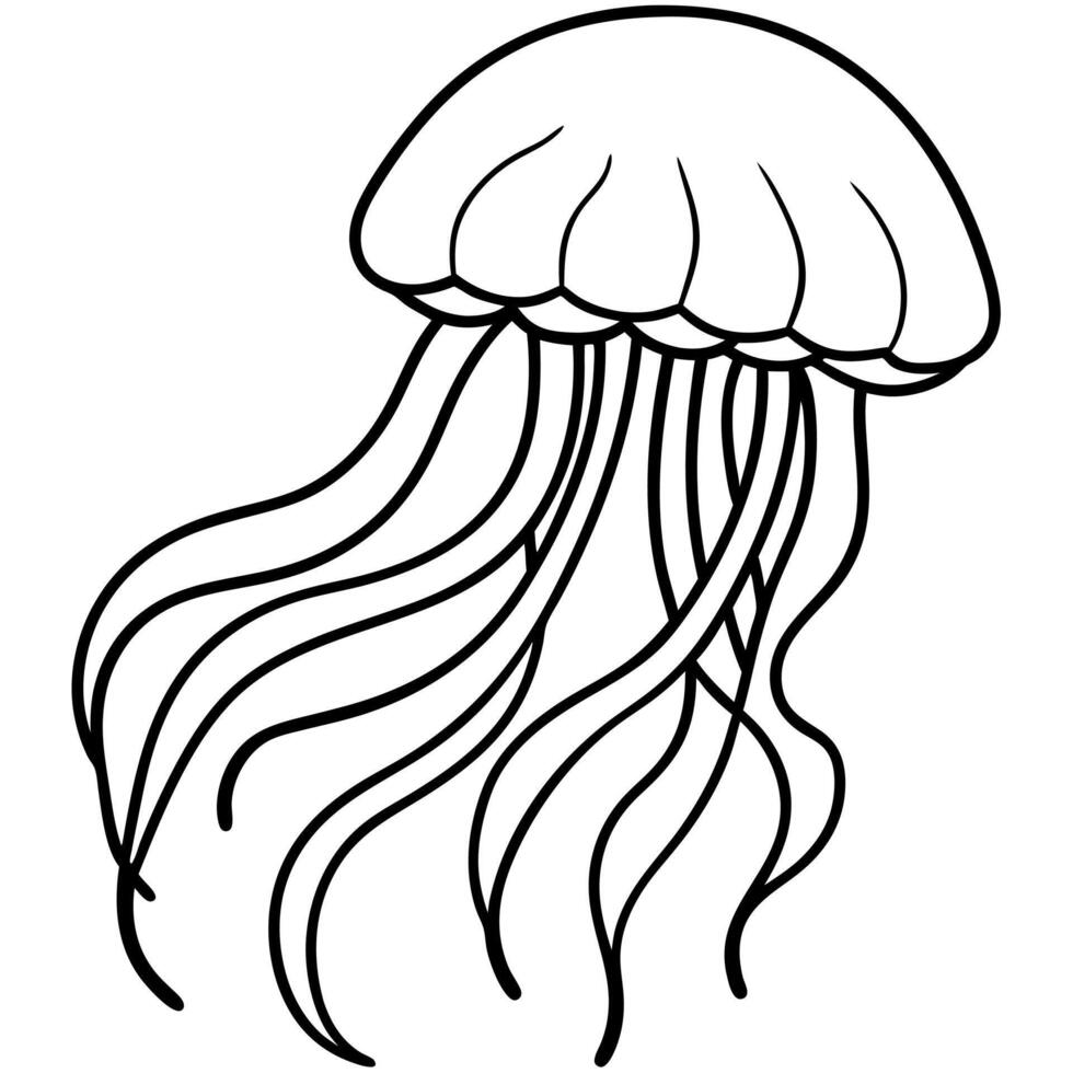 Freshwater Jellyfish walks icon vector