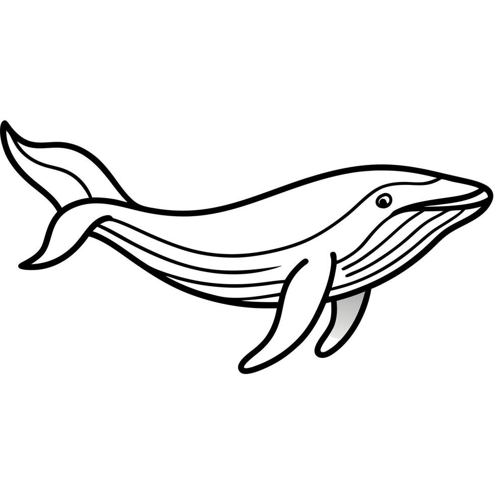 Fur Seal sleeps icon vector
