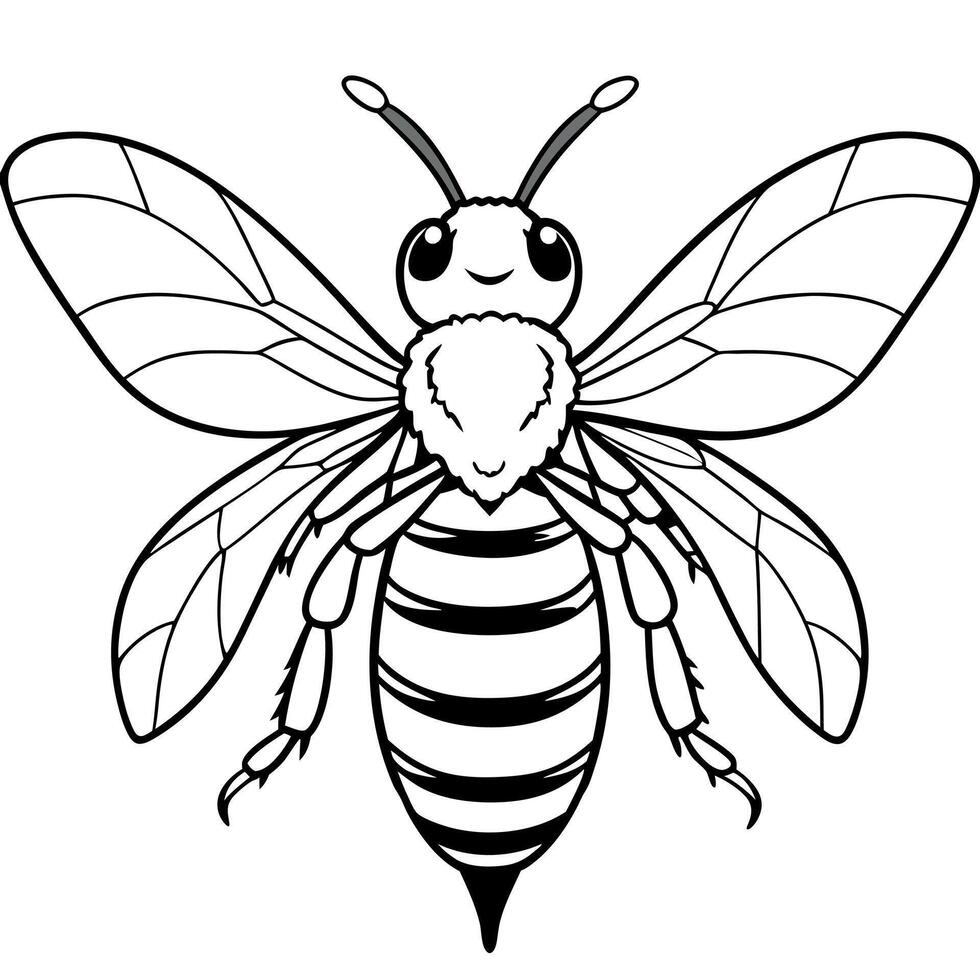 Furniture Beetle bug learns icon vector