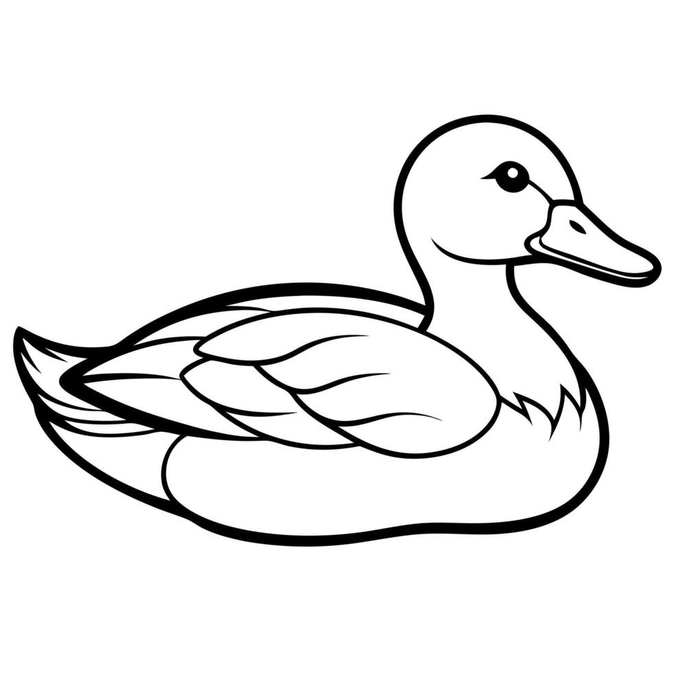 Gadwall bird lies icon vector