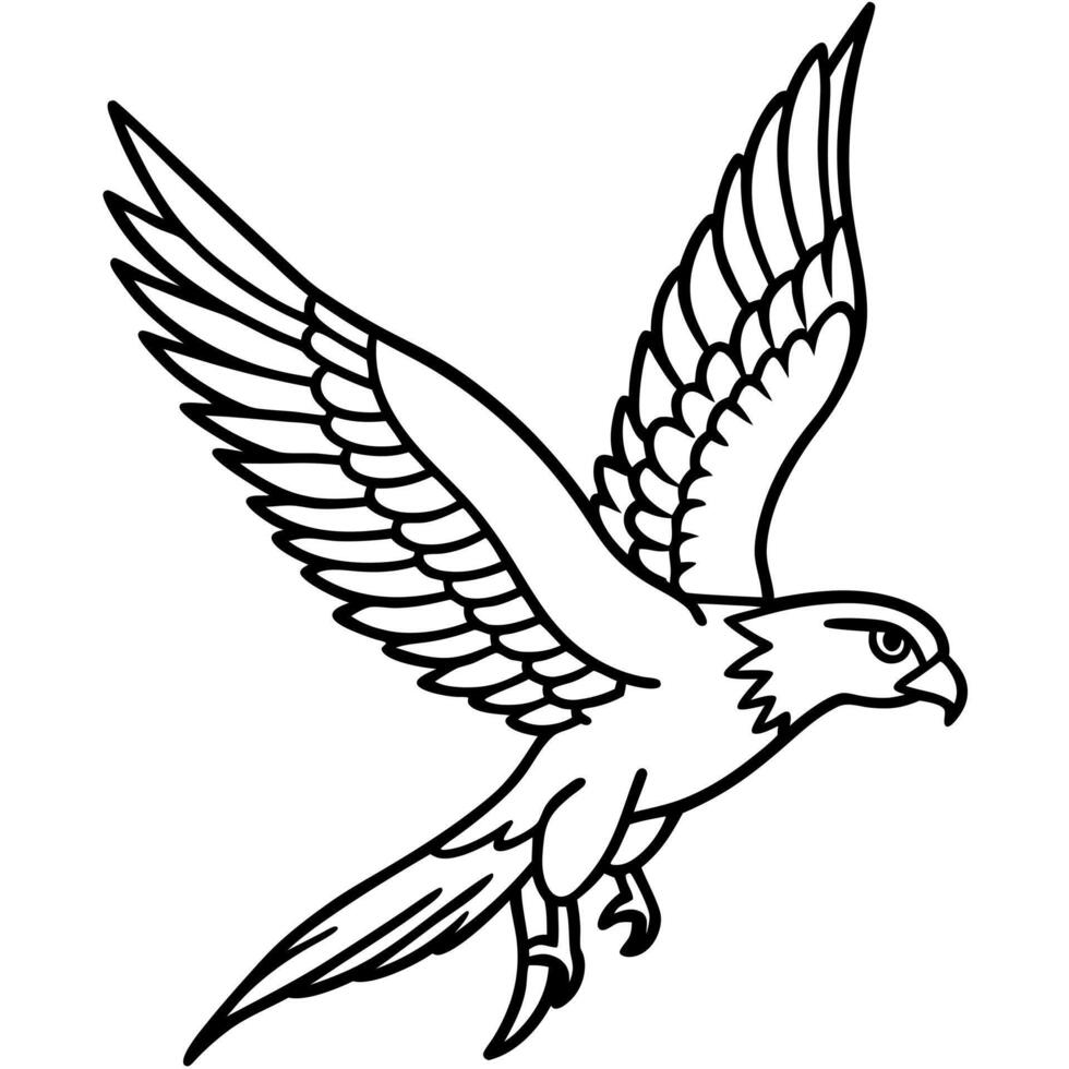 Galapagos Hawk bird flies icon vector
