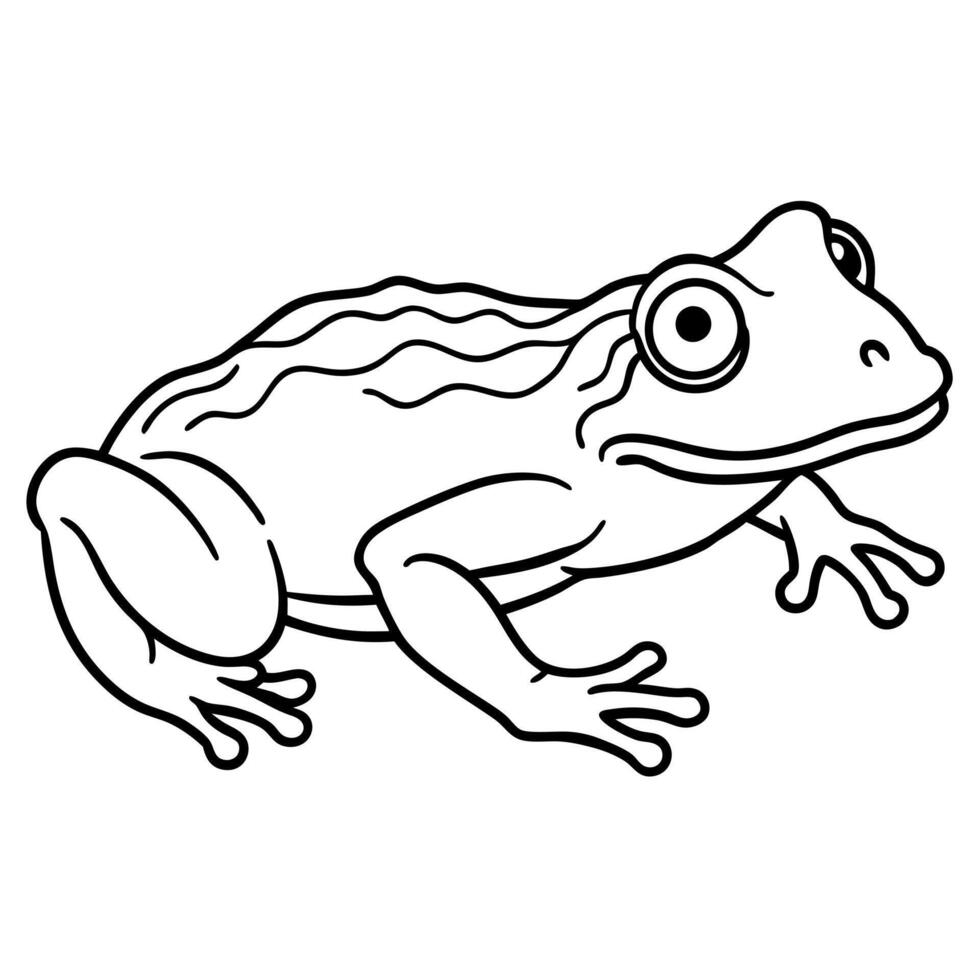 Galapagos Land Iguana reading icon vector
