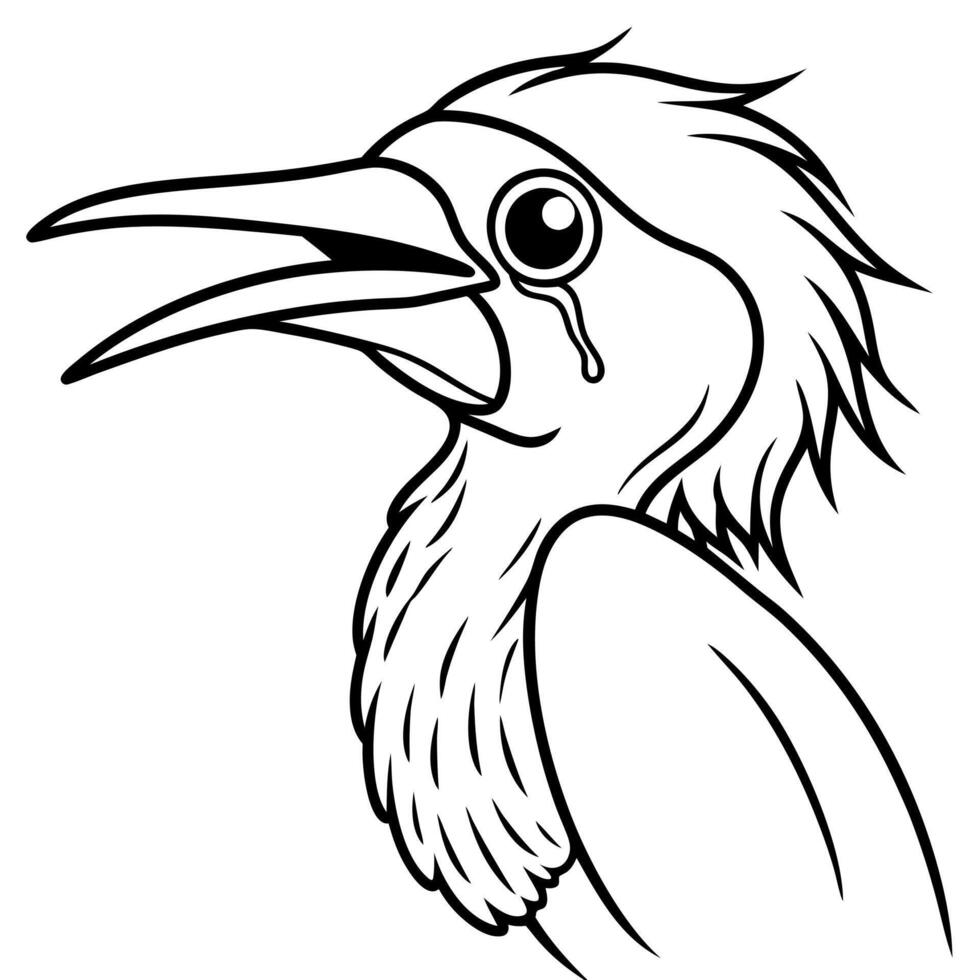 Galapagos Lava Heron Bird cries icon vector