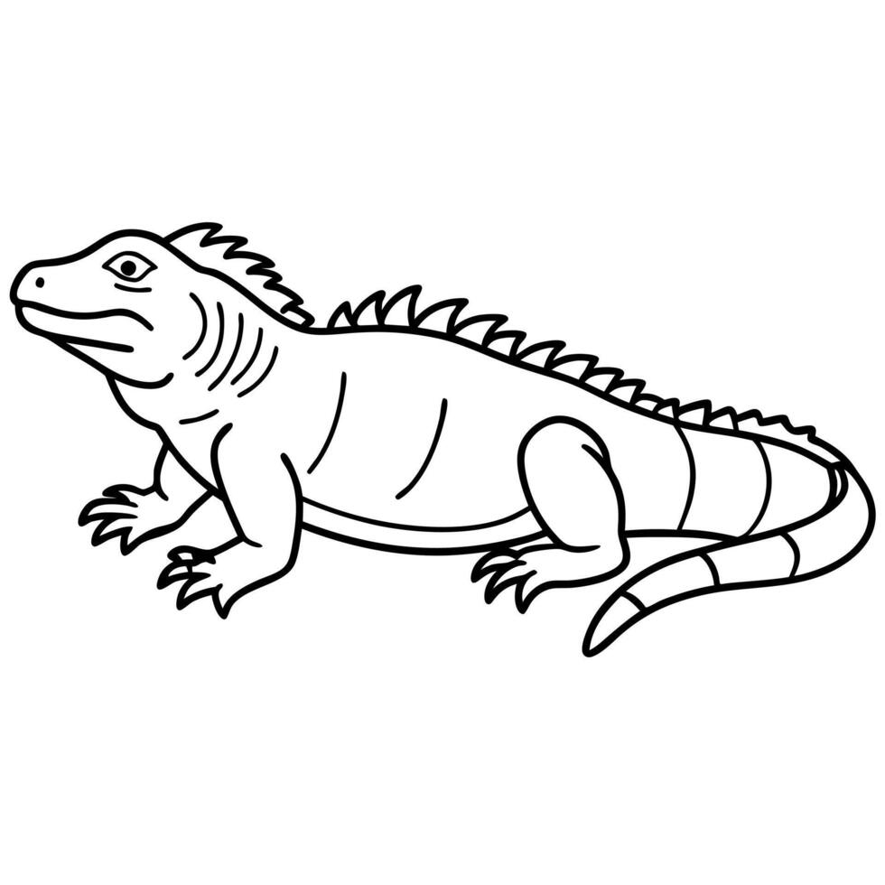 Galapagos Lava Lizard looks icon vector