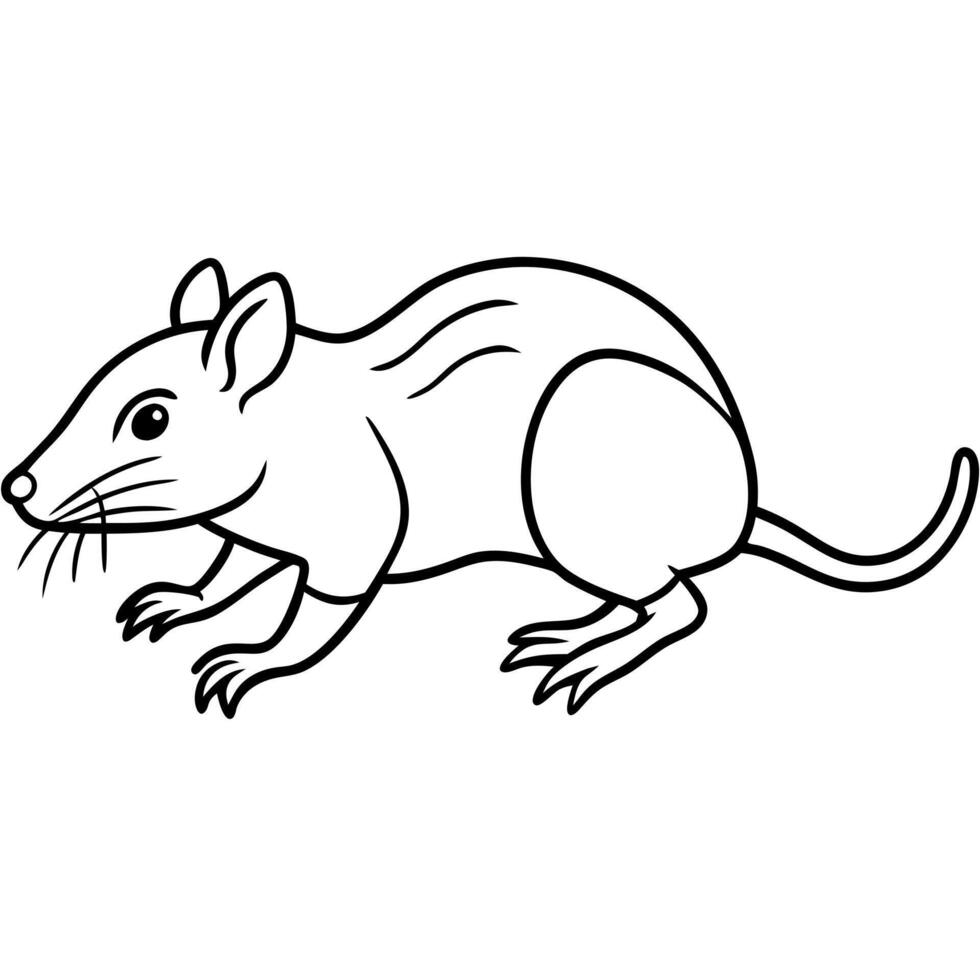Galapagos Rice Rat mouse looks icon vector
