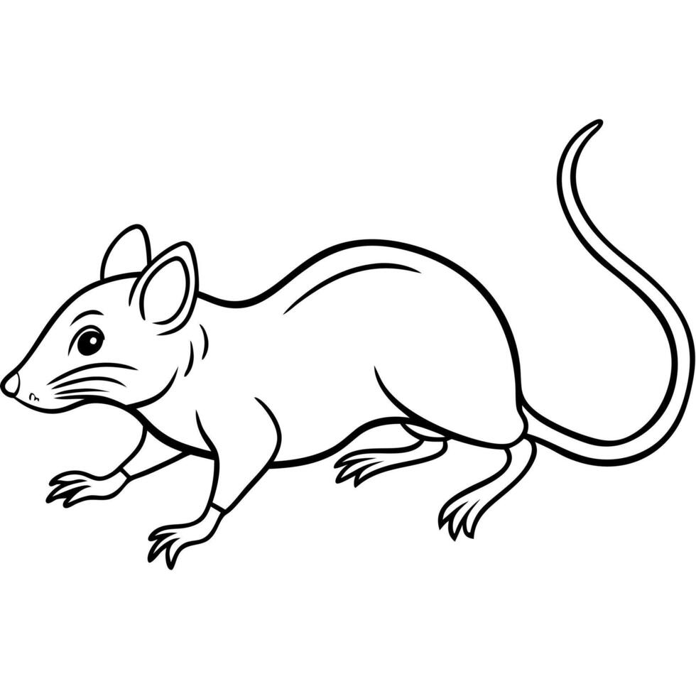 Galapagos Rice Rat mouse runs icon vector