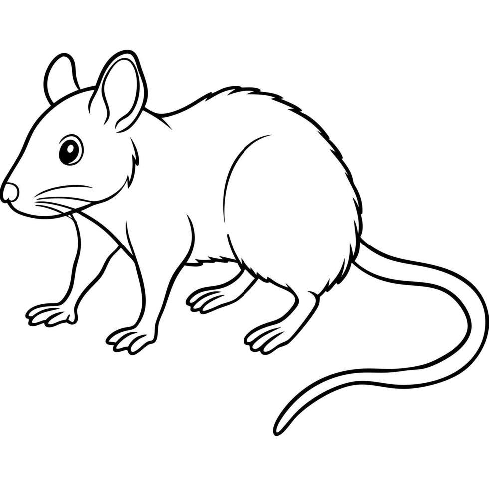 Galapagos Rice Rat mouse stands icon vector