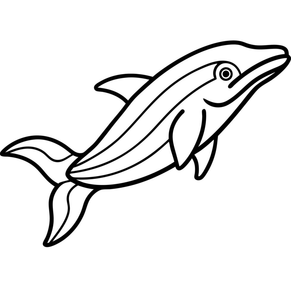 Galapagos Shark fish play icon vector