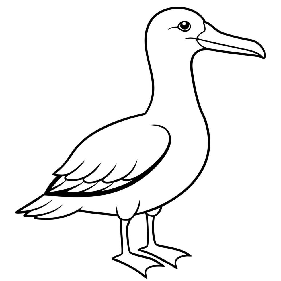 Galapagos Waved Albatross bird stands icon vector