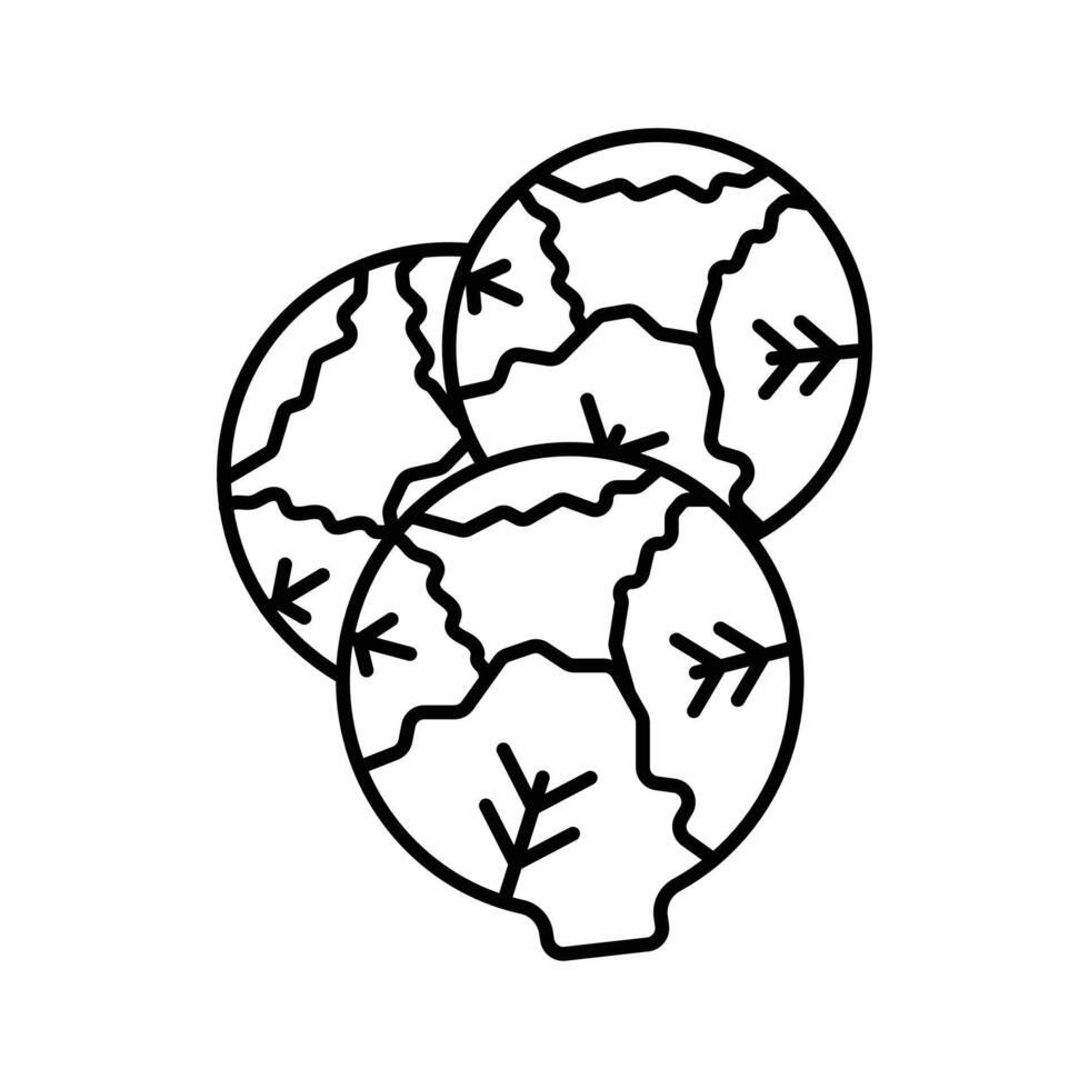 Brussels sprouts Cabbage icon linear logo mark in black and white vector