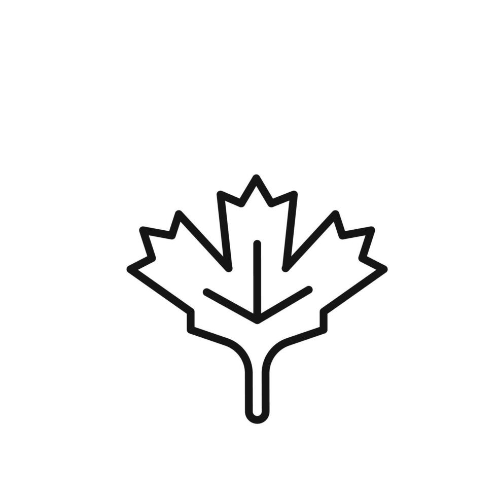Maple leaf icon outline collection in black vector