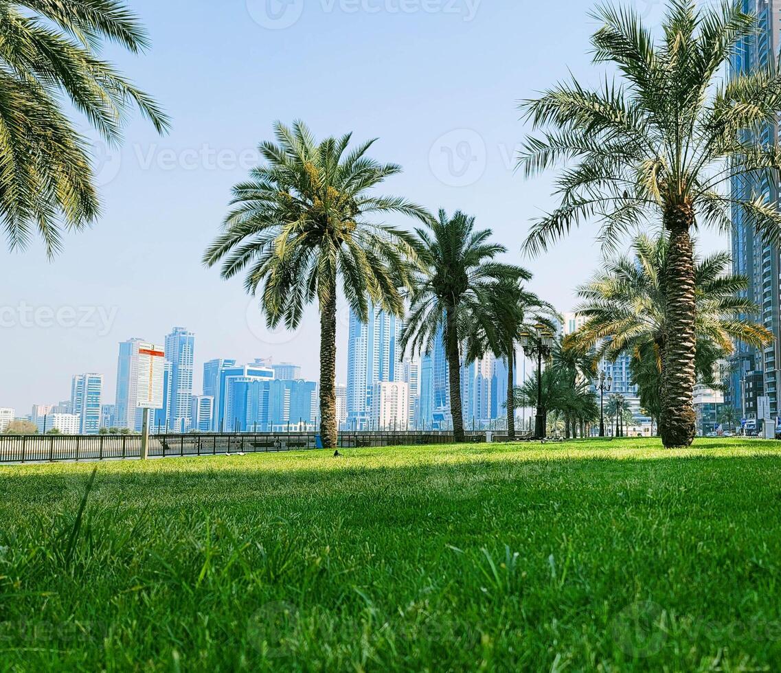 View from a park overlooking the skyline of UAE photo