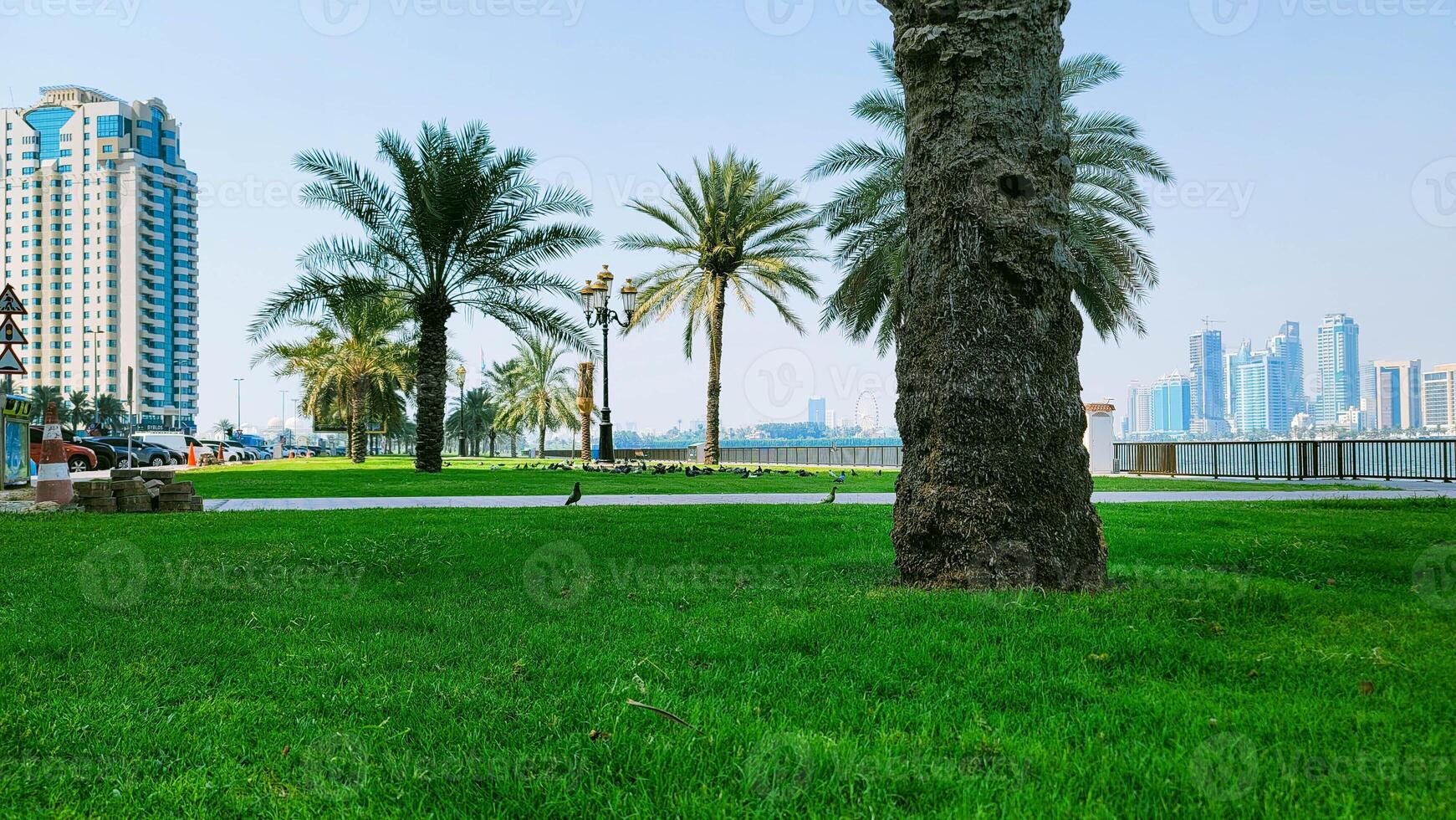View from a park overlooking the skyline of UAE photo