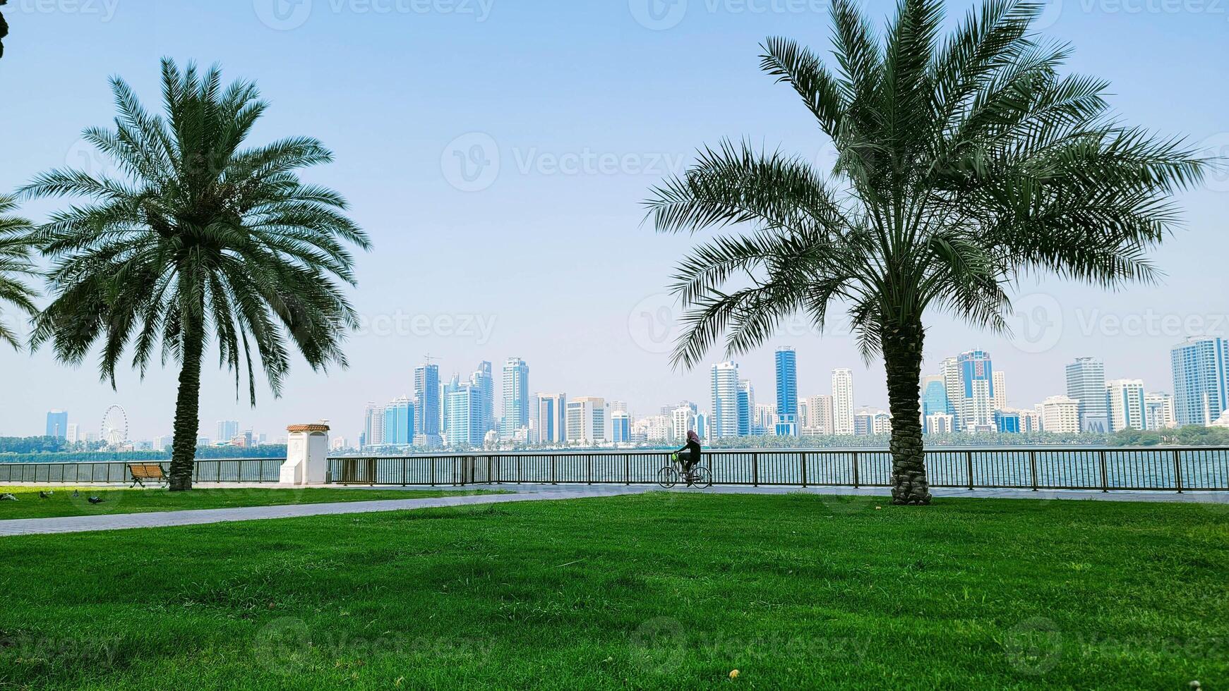 View from a park overlooking the skyline of UAE photo
