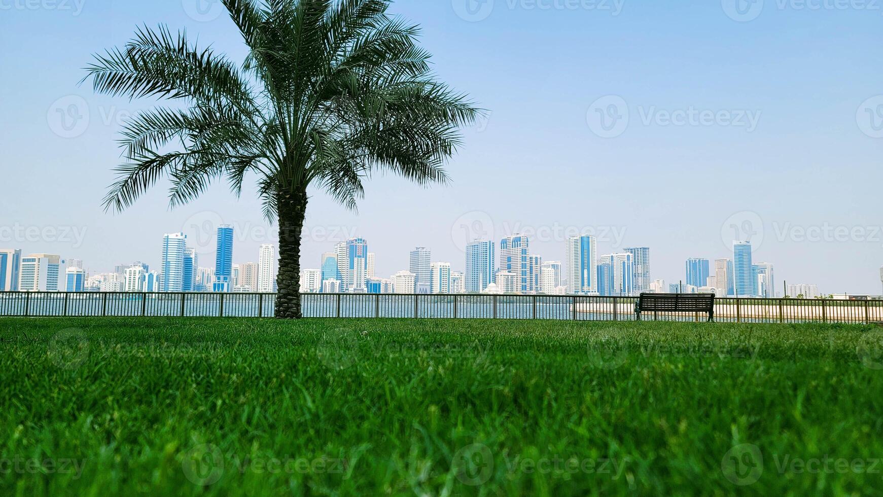 View from a park overlooking the skyline of UAE photo