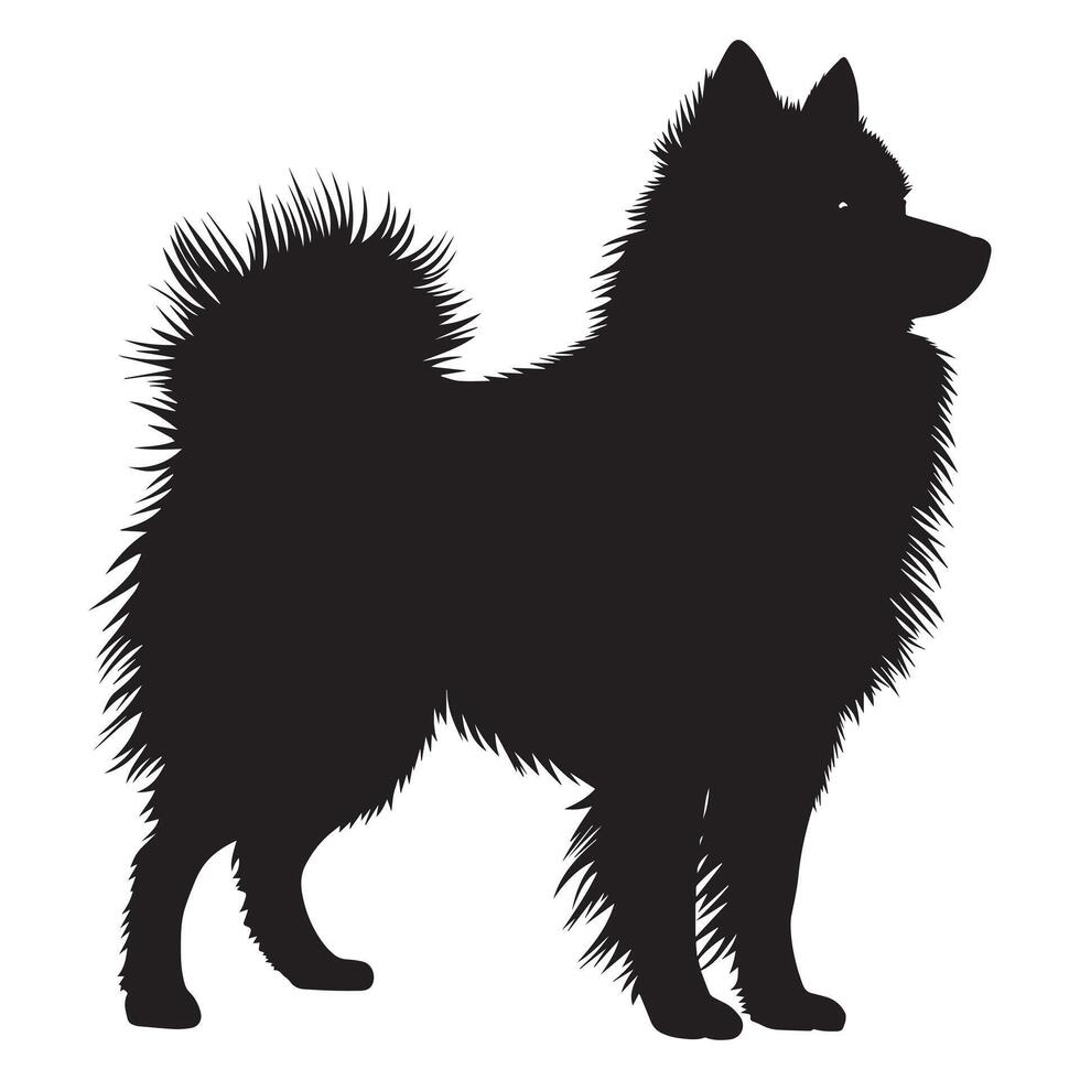 Keeshond dog silhouette Design, Dog Clipart illustration in black and white vector