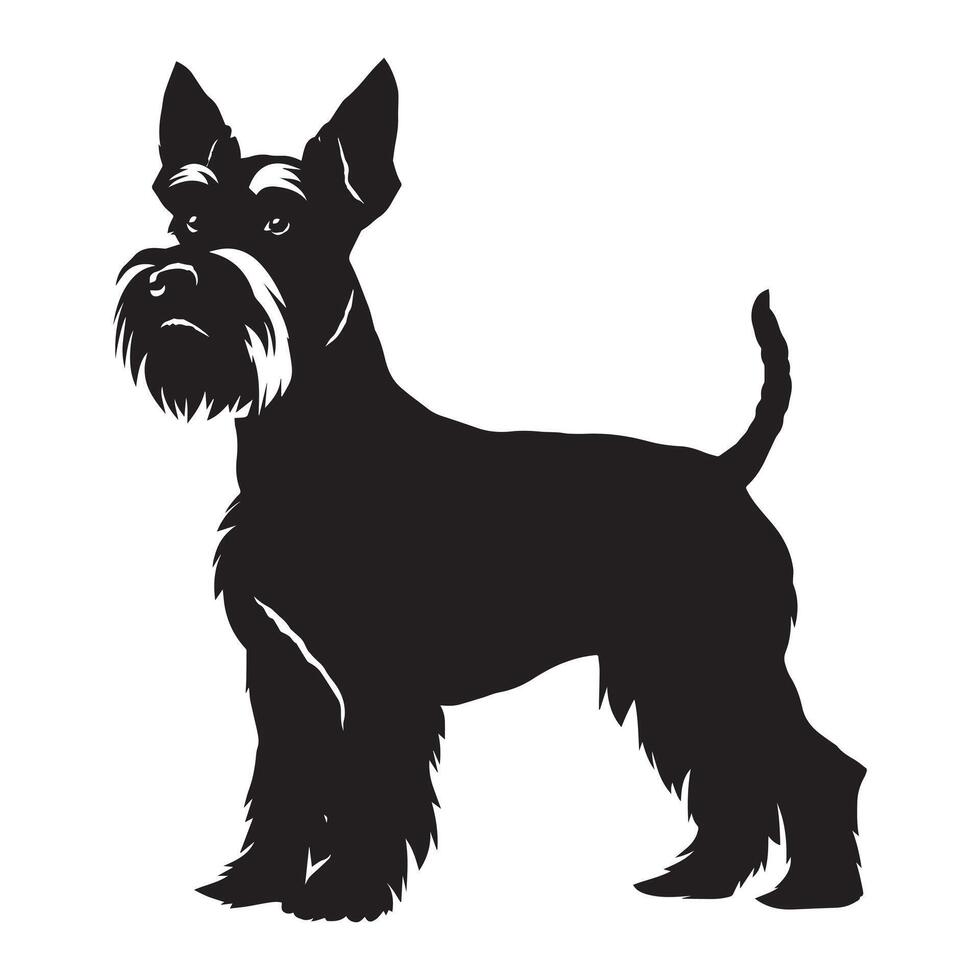Miniature Schnauzer dog silhouette Design, Dog Clipart illustration in black and white vector