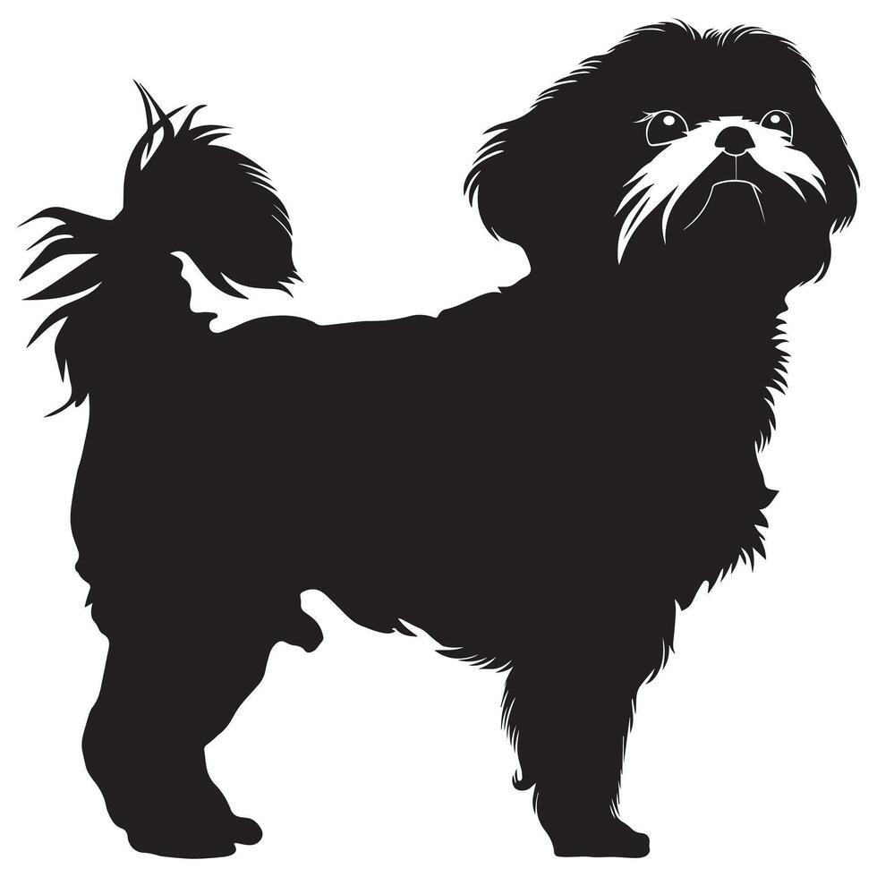 Shih Tzu dog silhouette Design, Dog Clipart illustration in black and white vector