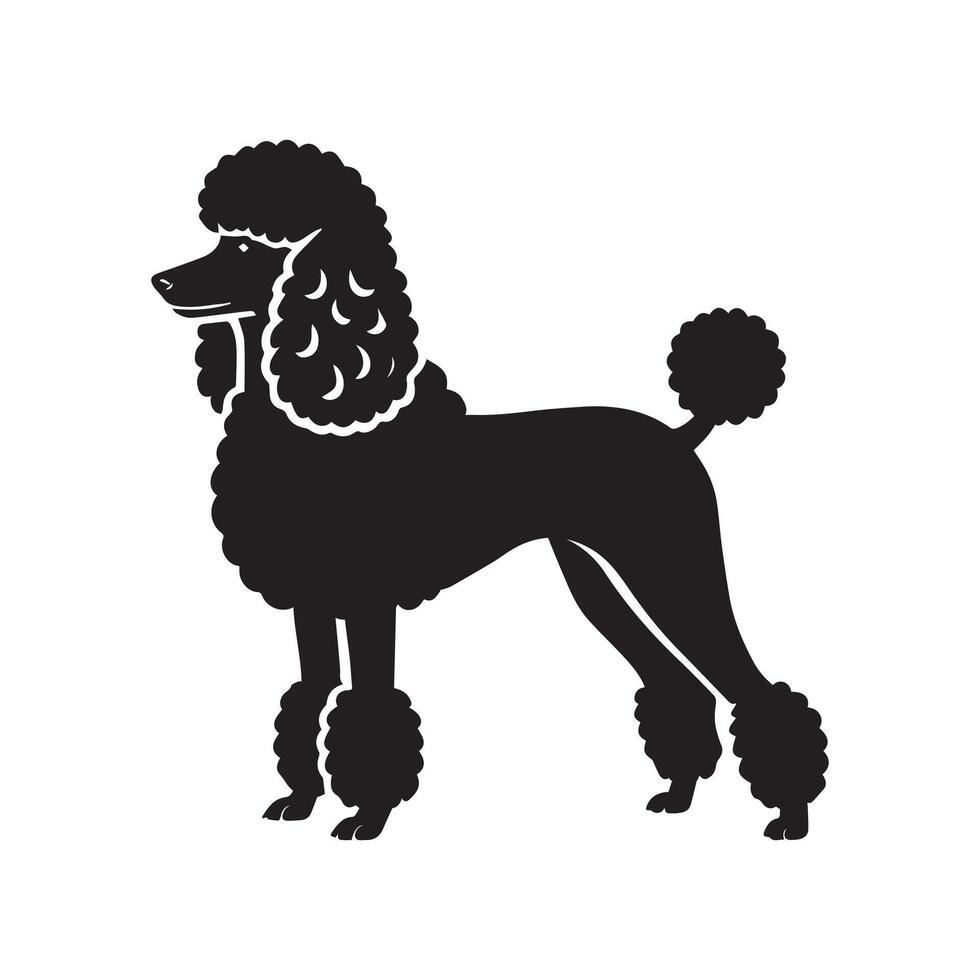 Poodle dog silhouette Design, Dog Clipart illustration in black and white vector
