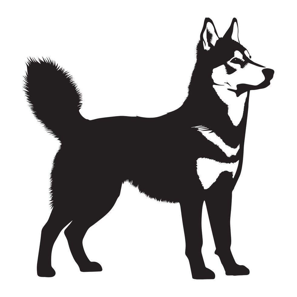 Siberian Husky dog silhouette Design, Dog Clipart illustration in black and white vector