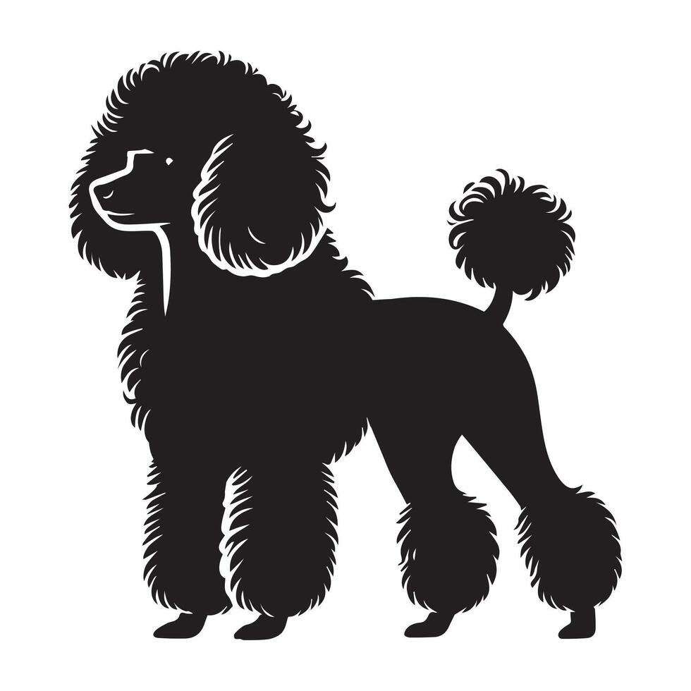 Poodle dog silhouette Design, Dog Clipart illustration in black and white vector