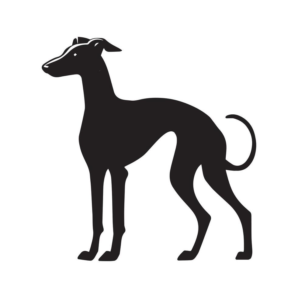 Italian Greyhound dog silhouette Design, Dog Clipart illustration in black and white vector