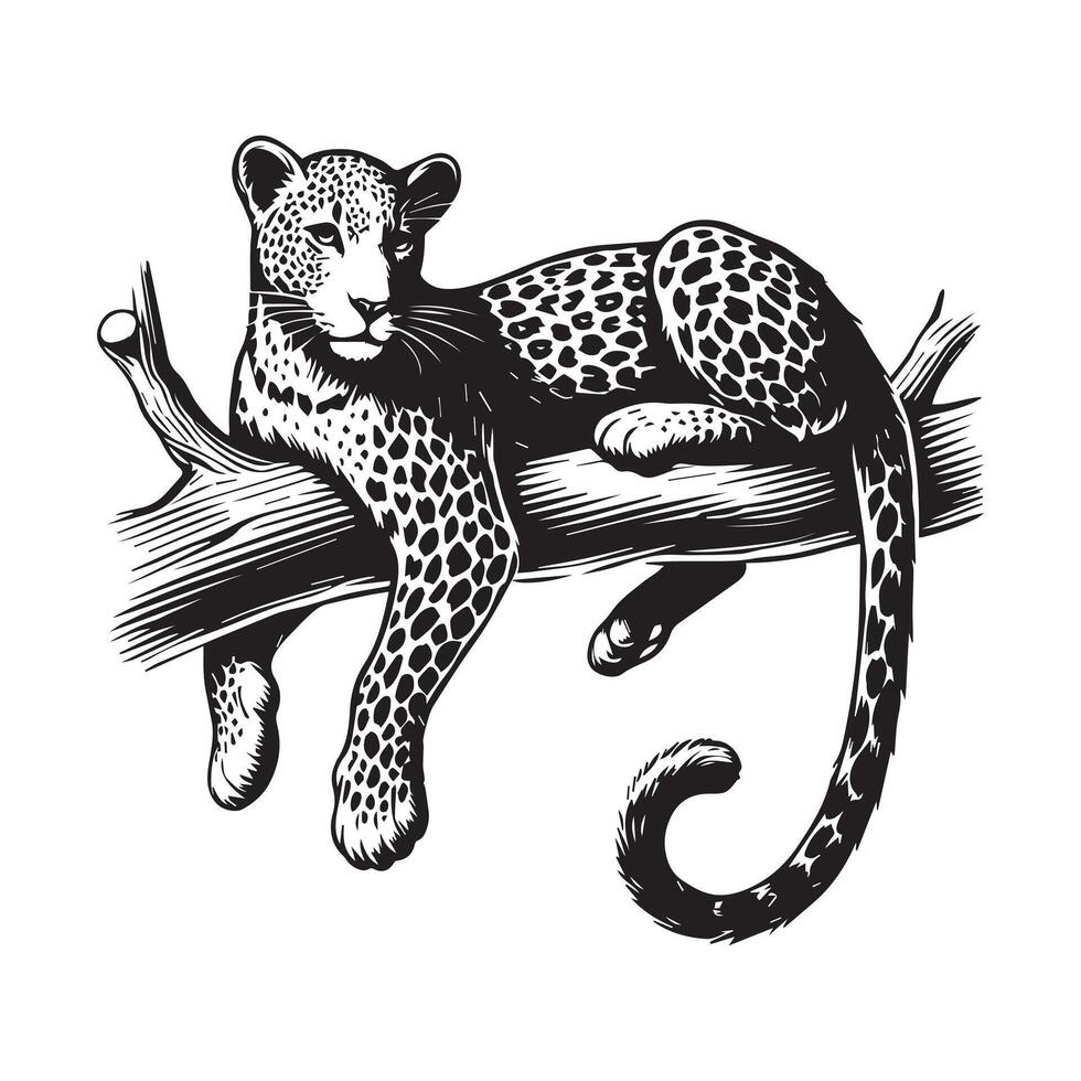 Leopard Clipart - A Branch Perch Leopard illustration in black and white vector