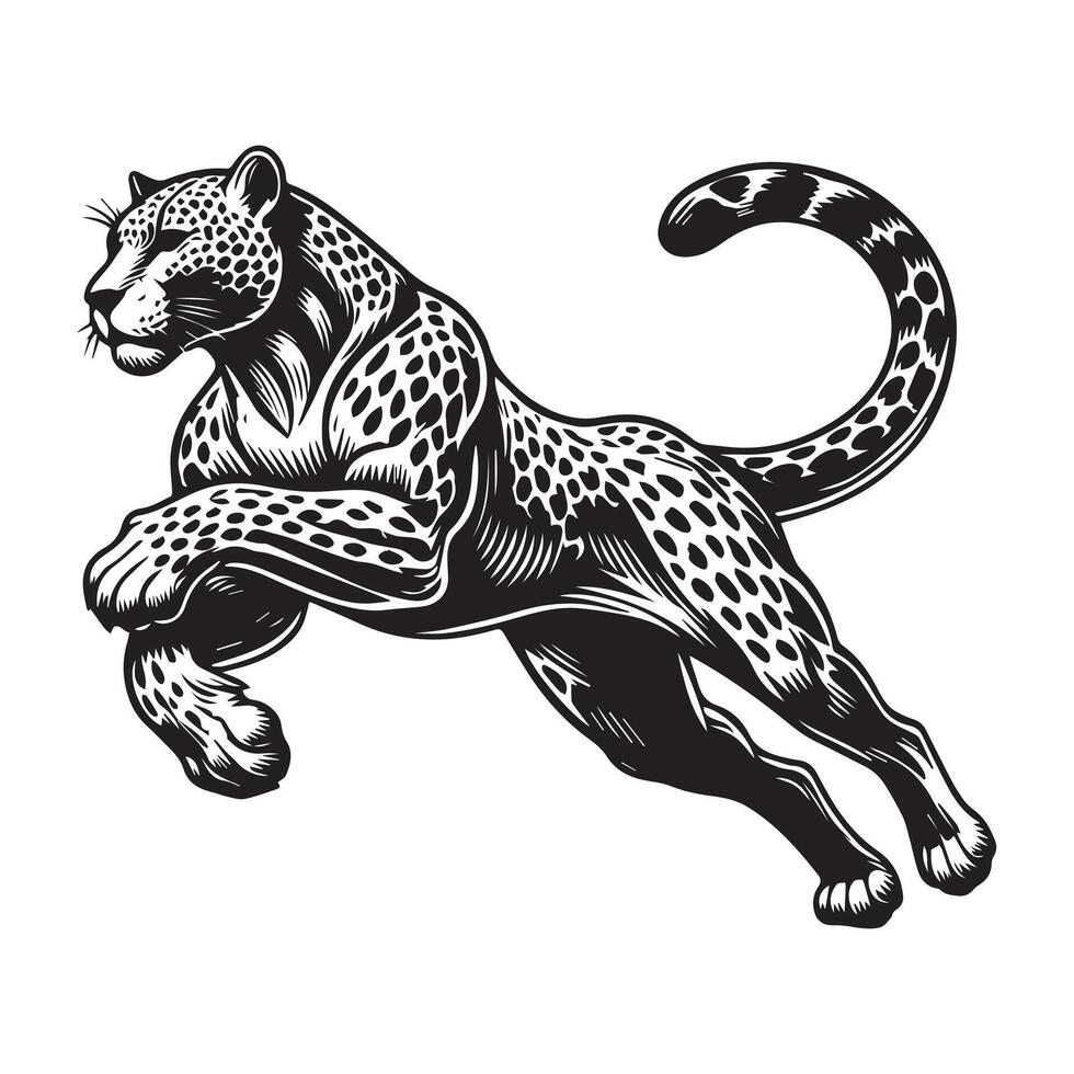 Leopard Clipart - A Sleek Sprint Leopard illustration in black and white vector