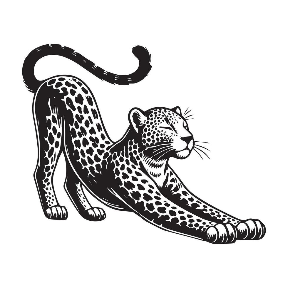 Leopard Clipart - A Relaxed Stretch Leopard illustration in black and white vector