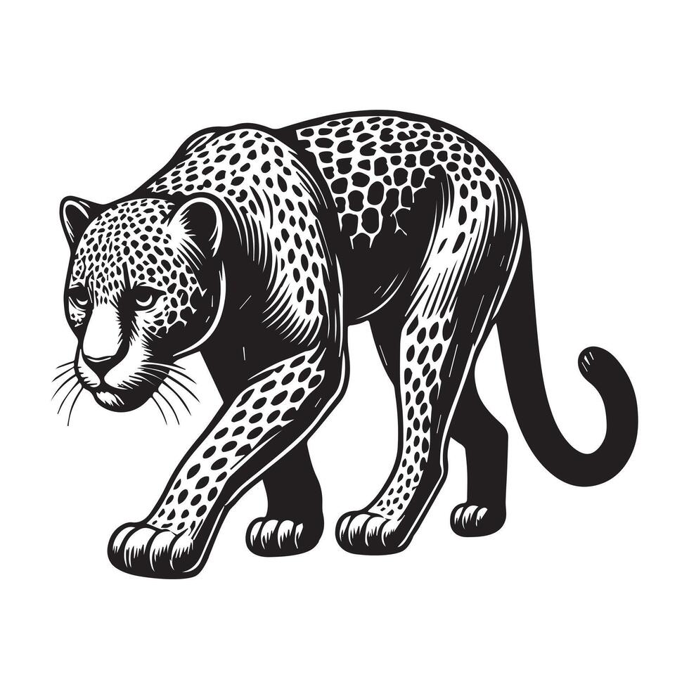 Leopard Clipart - A Leopard Silent Prowl illustration in black and white vector