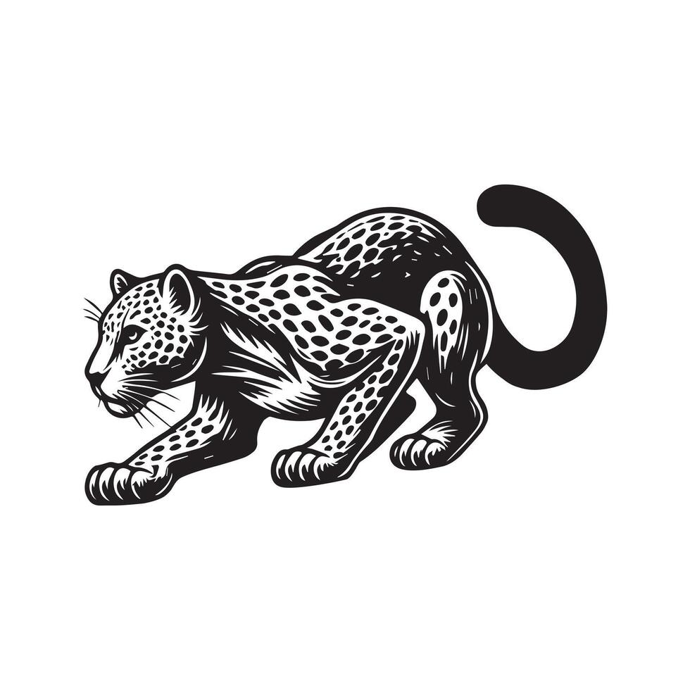 Leopard Clipart - A Leopard Stalking Grace illustration in black and white vector