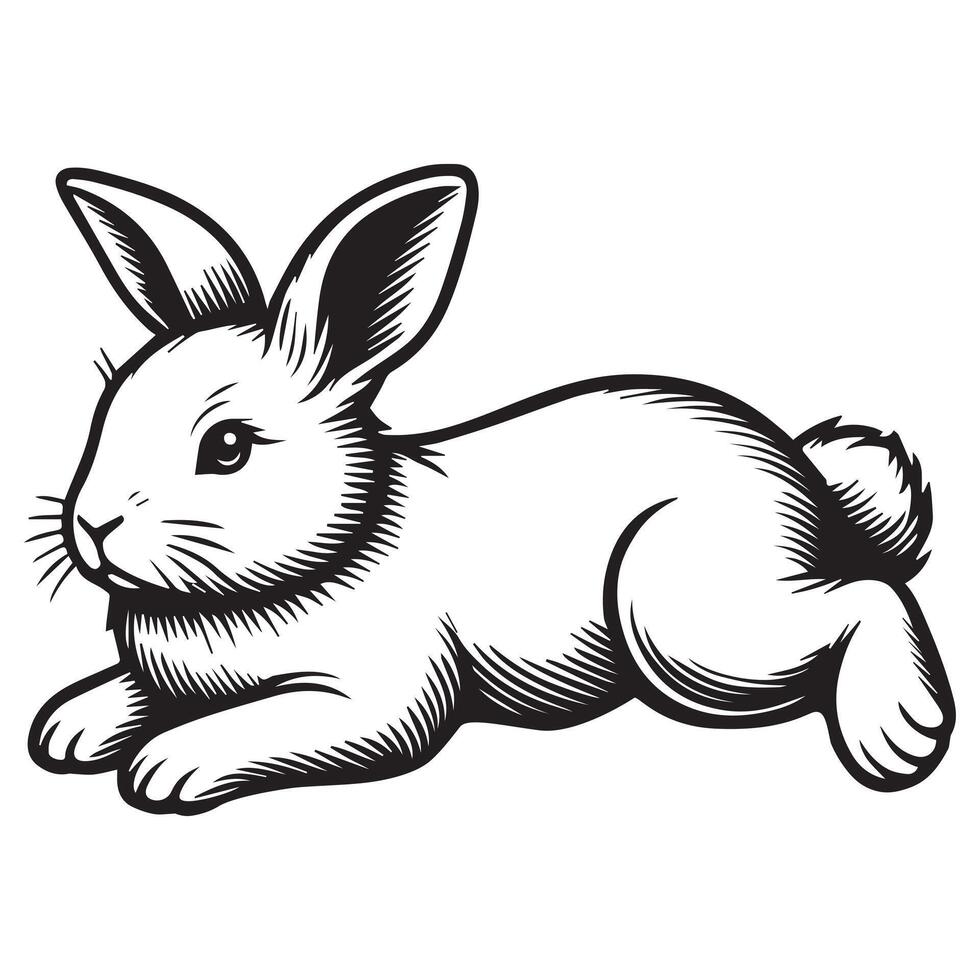 Bunny Outline Clipart - A Lying Down Rabbit illustration in black and white vector
