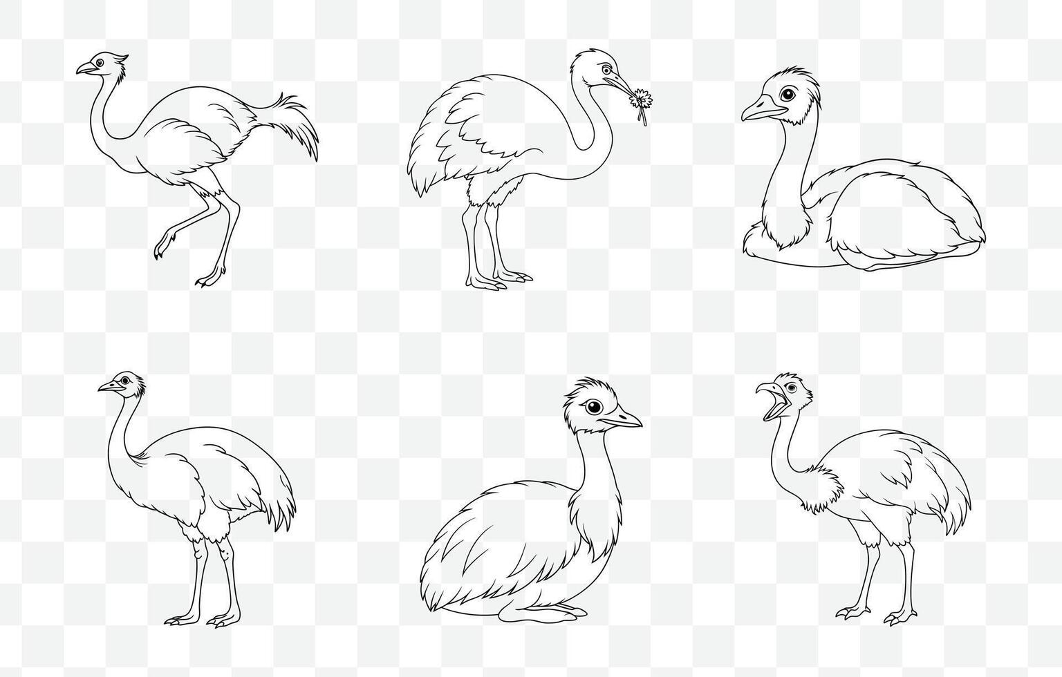 Collection of Detailed Emu Line Art Illustrations for Designers and Artists vector
