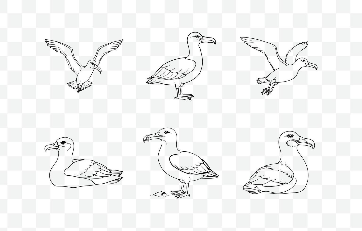Print Ultimate Albatross Line Art Set. Elegant And High Quality Designs for Creatives vector