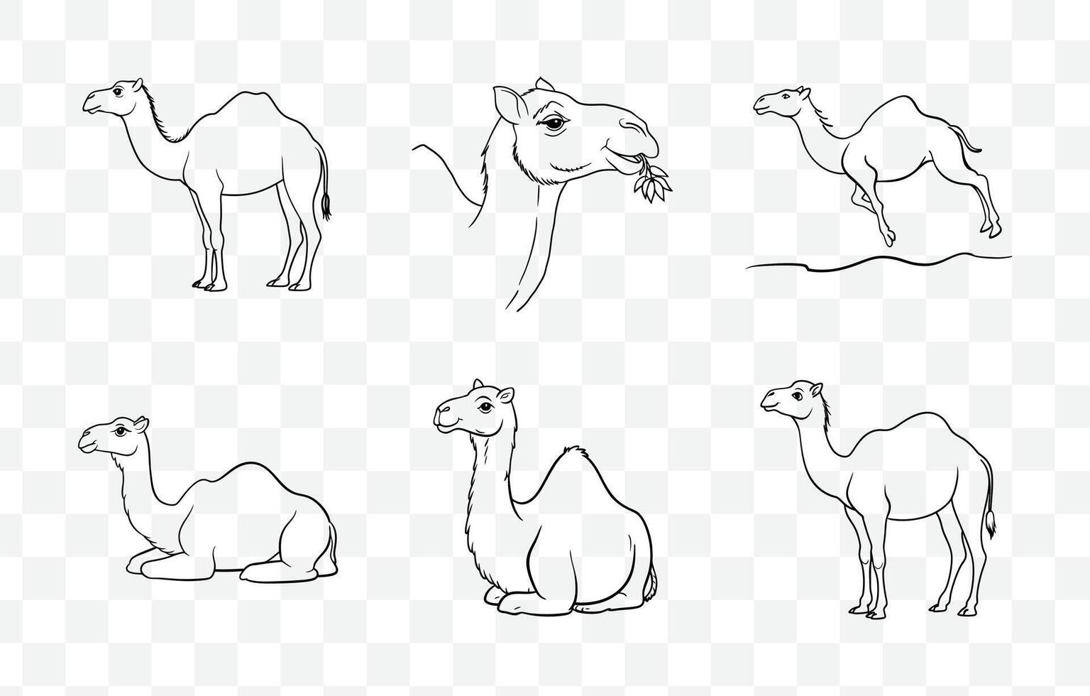 Print Comprehensive Collection of Camel Line Art Set for Illustrations and Design Projects vector