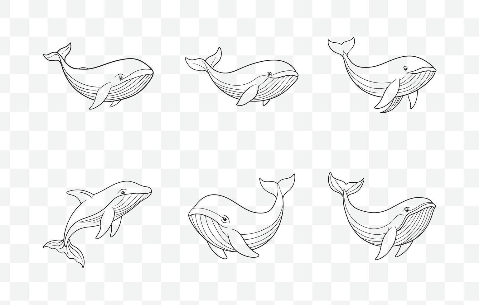 Print An Extensive Collection of Beautifully Detailed Whale Line Art Illustrations for Creative Design Projects vector