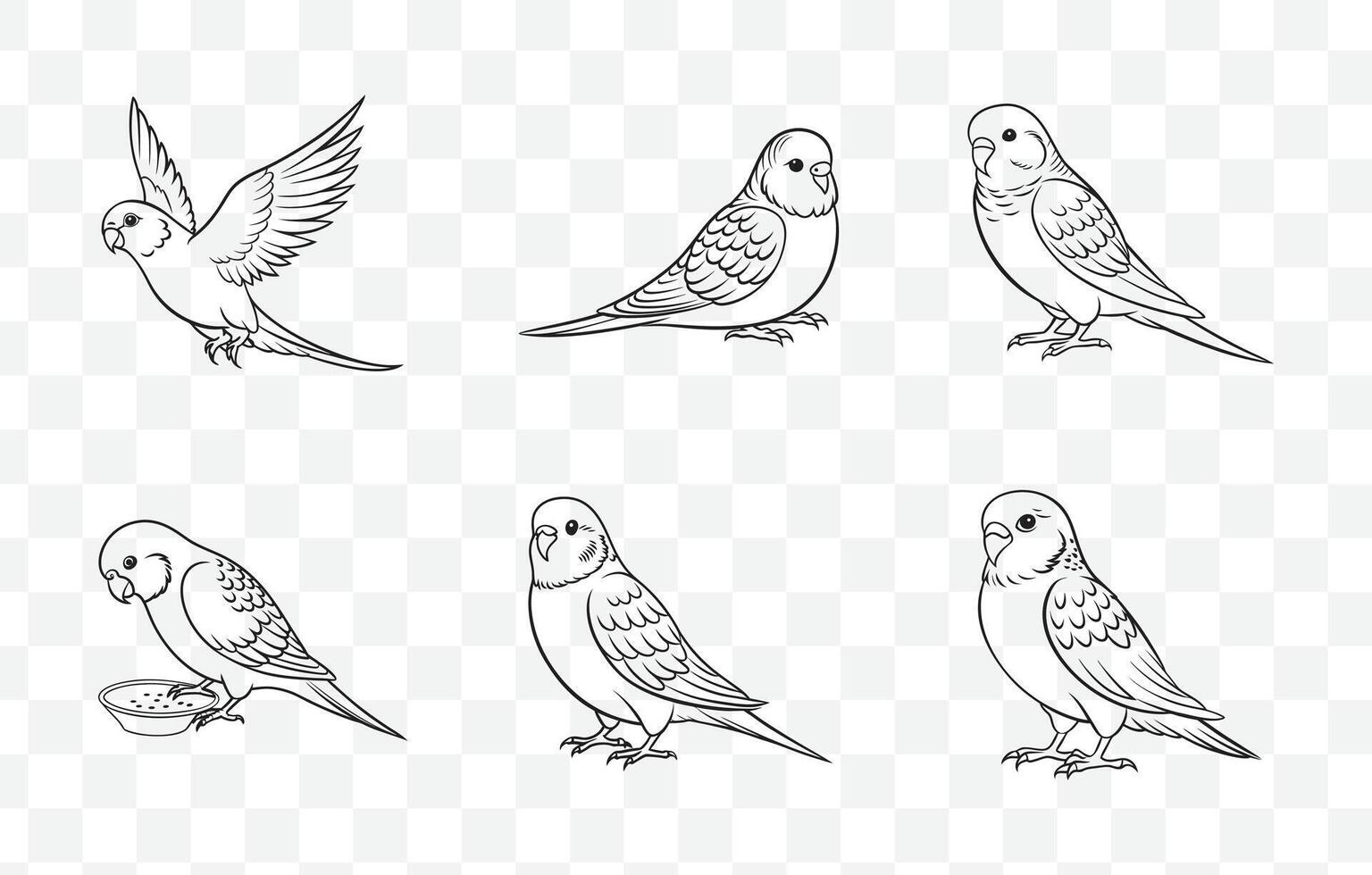 Comprehensive Budgerigar Line Art Set for Creative Projects and Designs Featuring Unique Styles vector