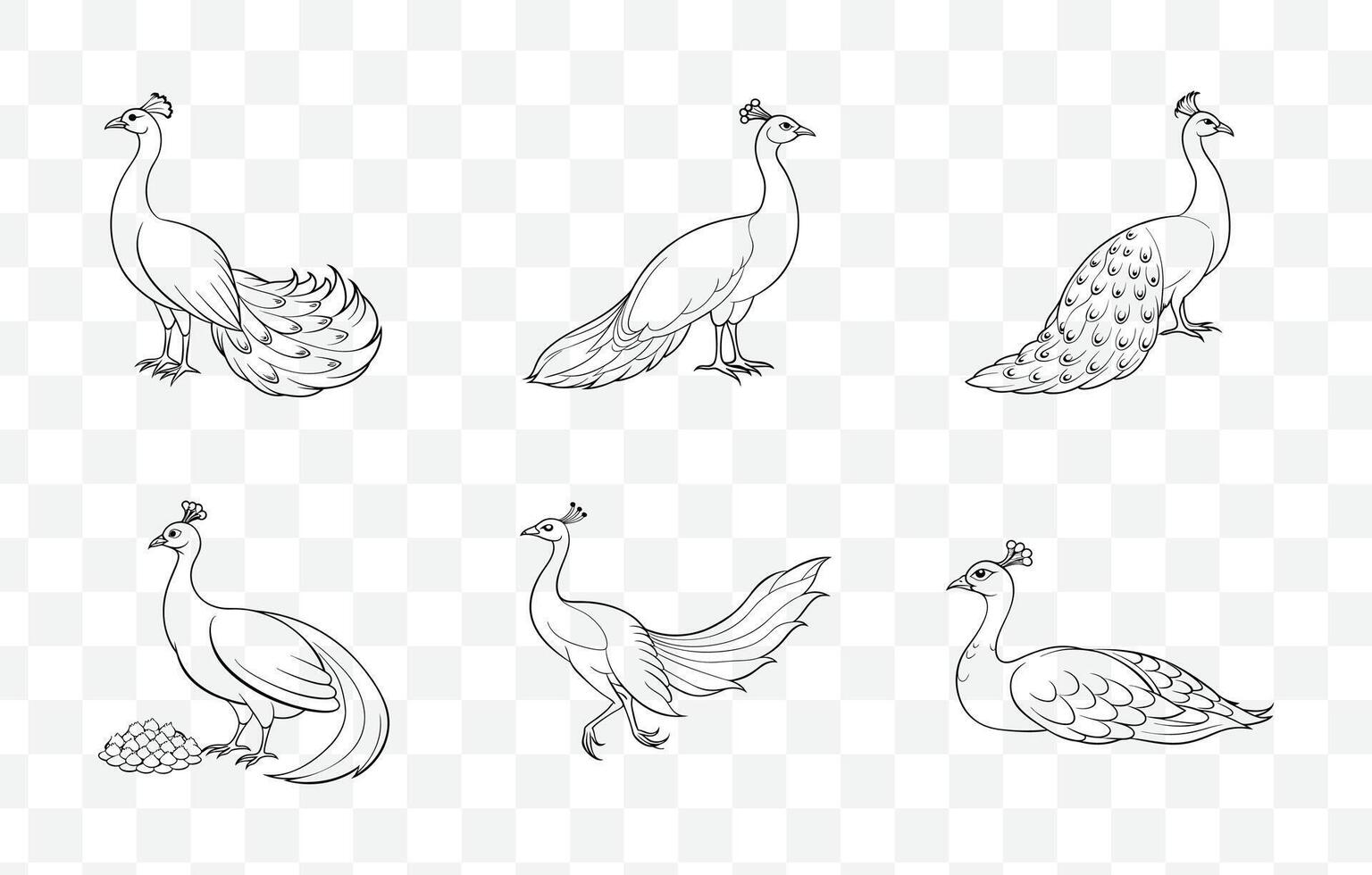 Print Peafowl Line Art Set with Elegant Designs for Artistic Creations and Graphic Projects vector
