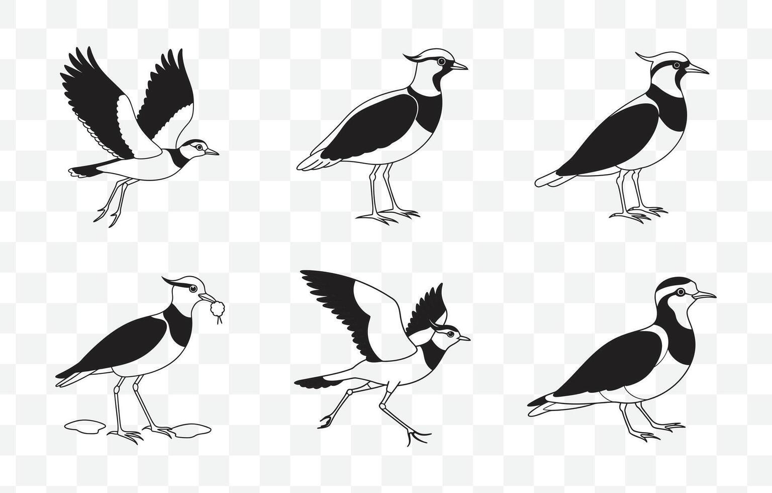 Print Detailed Lapwing Line Art Set for Designers and Illustrators vector