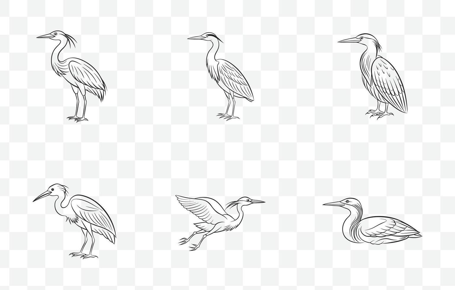 Print Elegant Bittern Line Art Set Perfect for Illustrations Posters and Graphic Design vector