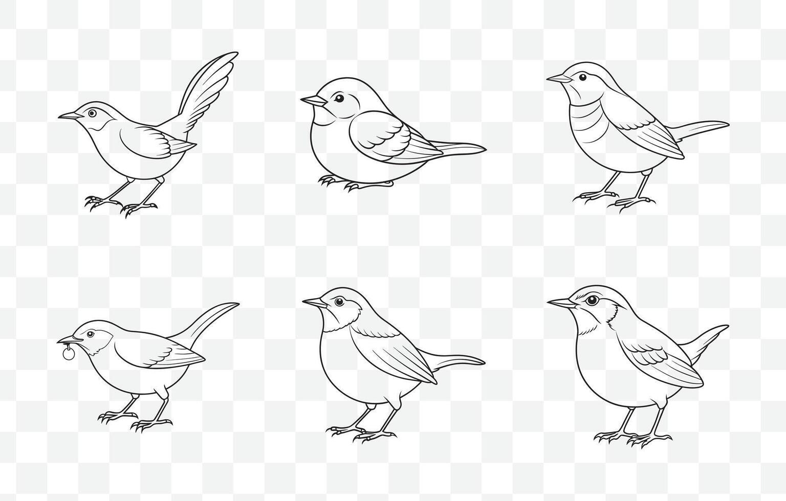Print Comprehensive Wren Line Art Set Featuring Detailed Bird Illustrations for Artistic and Graphic Design Projects vector