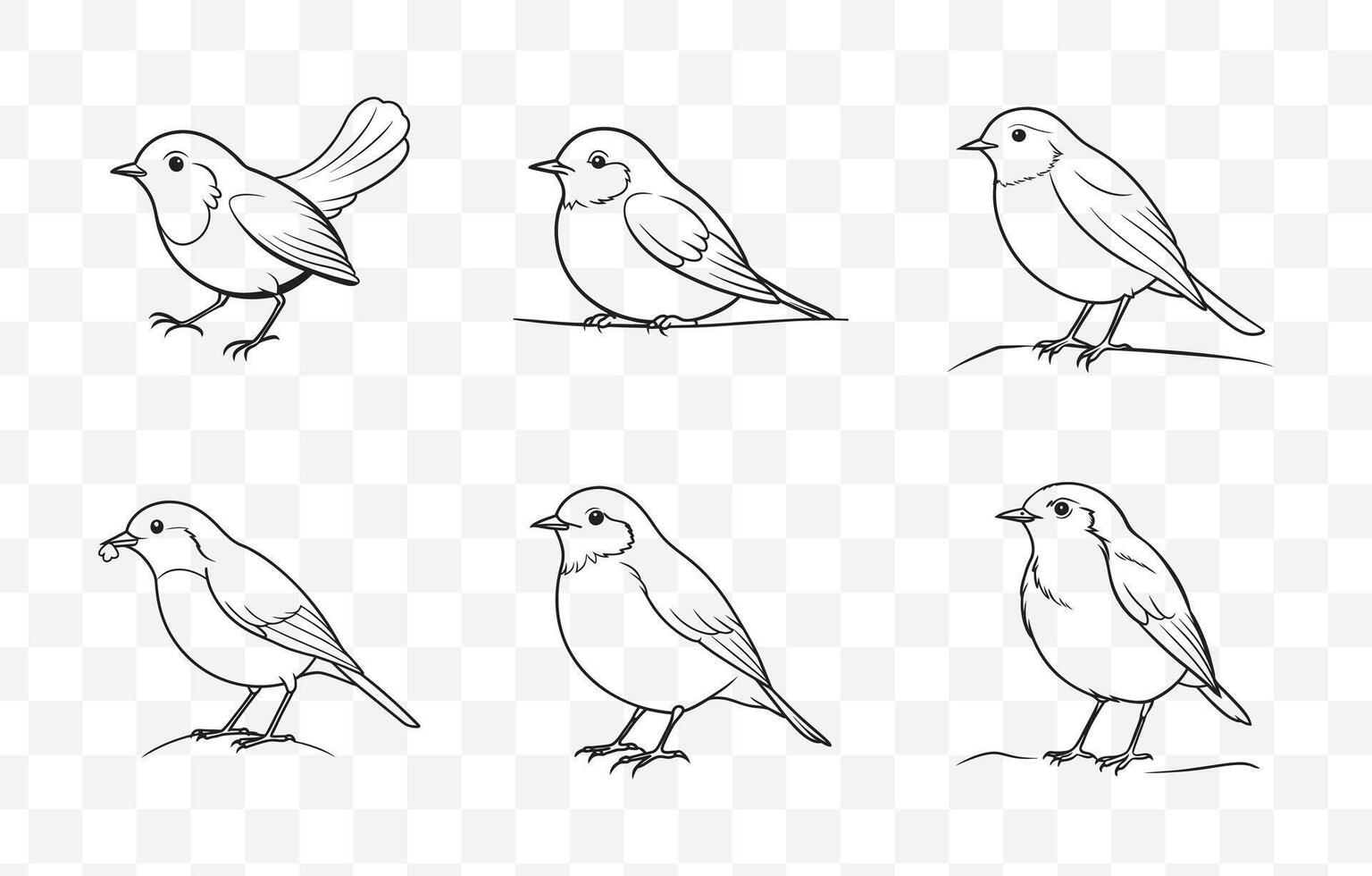 Print Robin Line Art Set with Detailed and Elegant Designs for Creative Projects vector