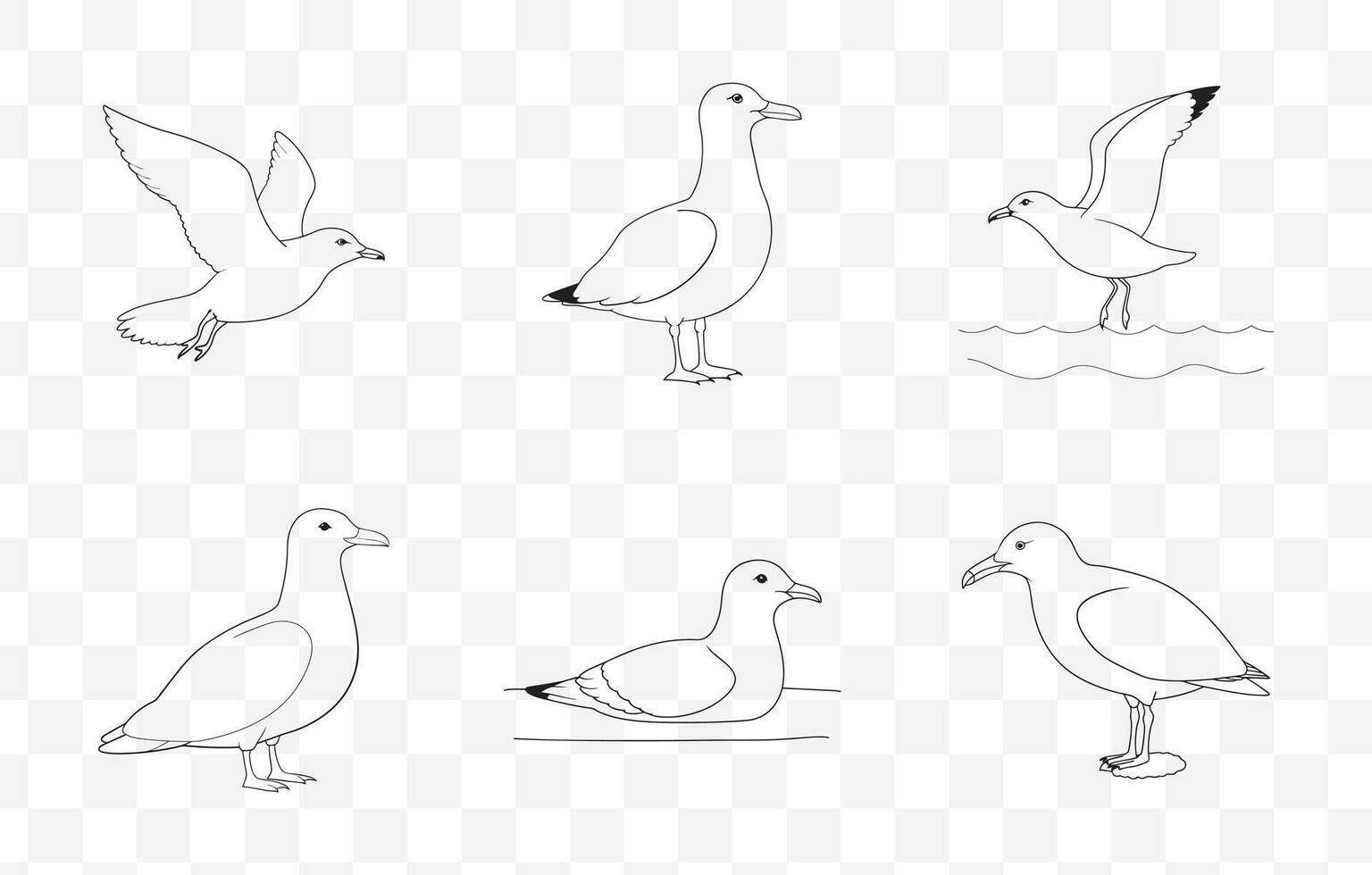 Print Detailed Gull Line Art Set for Illustrations and Design Projects vector