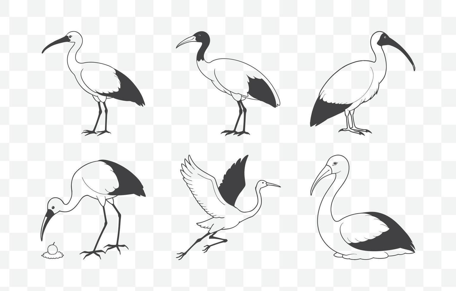 Print Elegant Ibis Line Art Set for Creative and Artistic Designs vector