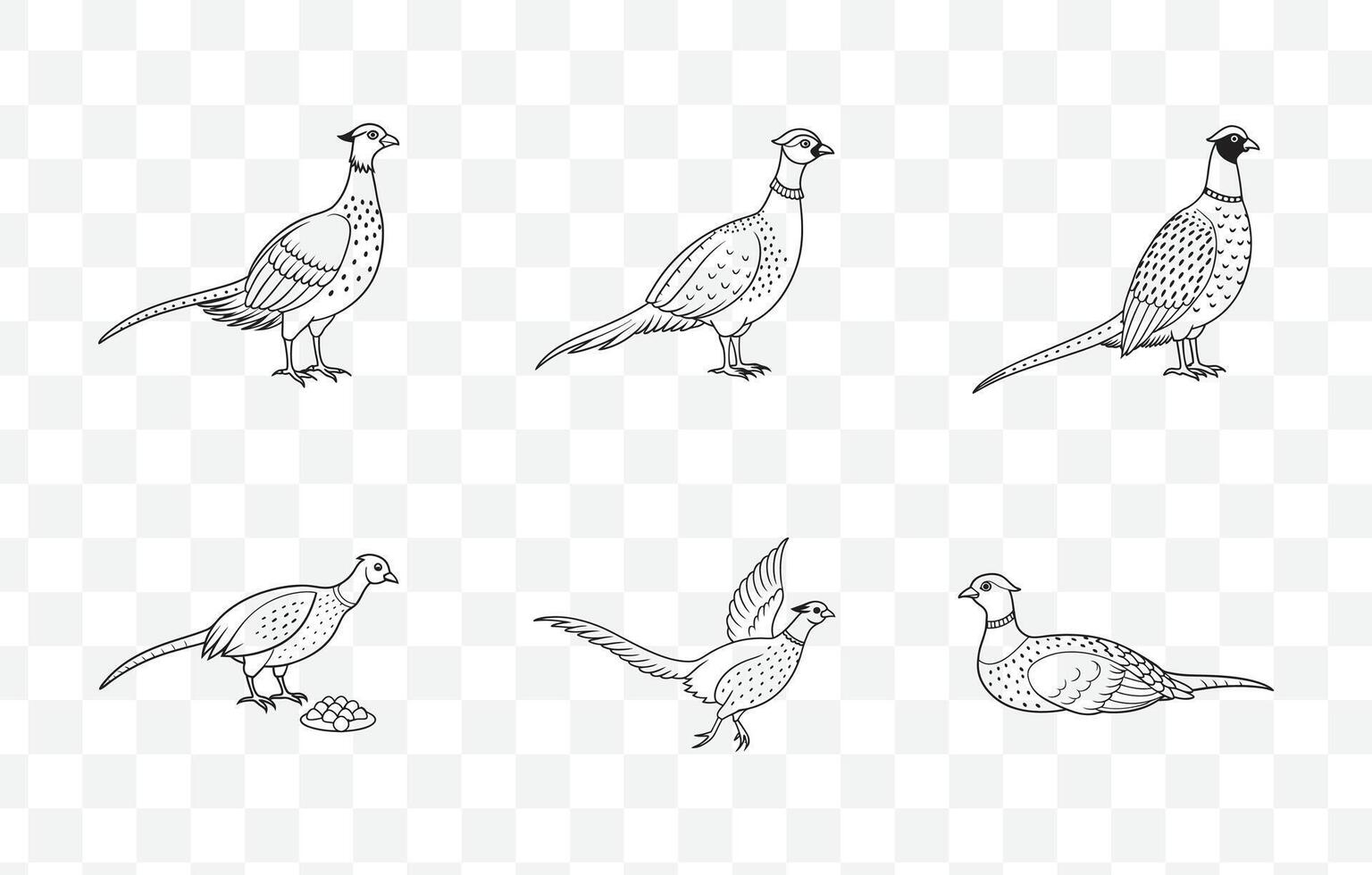 Print Pheasant Line Art Set Featuring Elegant Bird Illustrations for Artistic and Decorative Design Projects vector