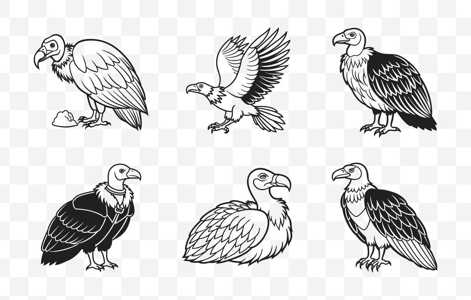 Print Elegant Vulture Line Art Set for Creative Projects and Artistic Designs vector