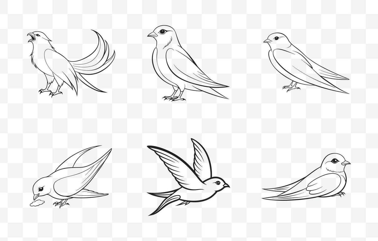 Elegant Swift Bird Line Art Set Collection of Detailed Swift Illustrations vector