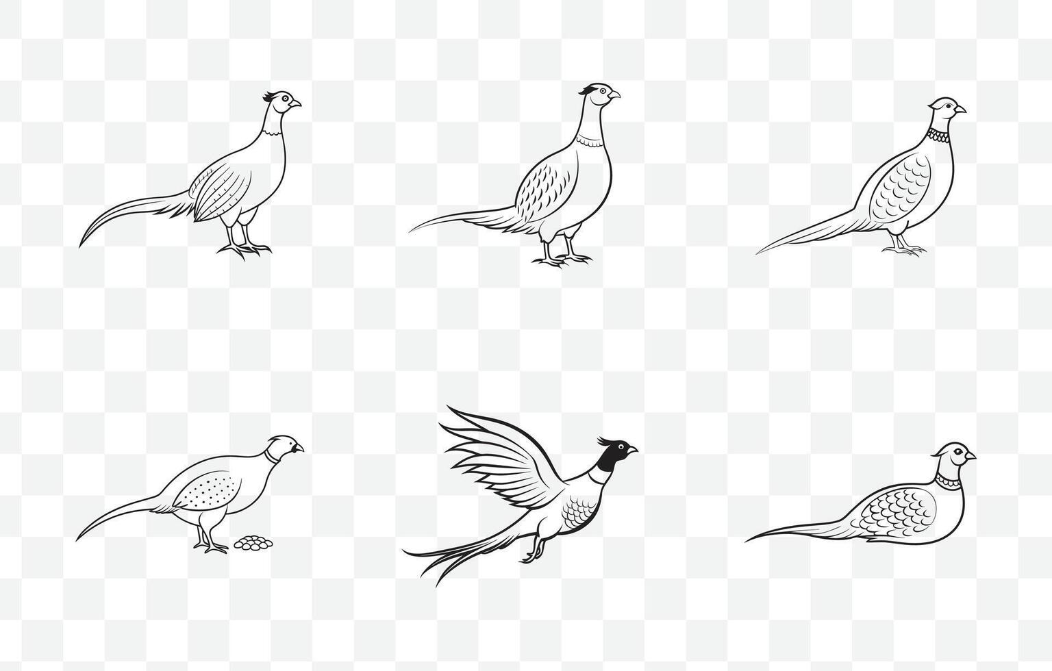 Print Intricate Pheasant Line Art Set for Detailed and Artistic Illustrations vector